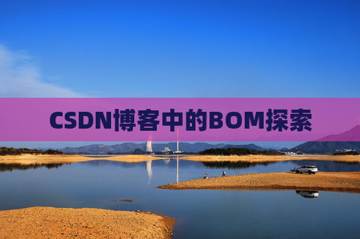 CSDN博客中的BOM探索